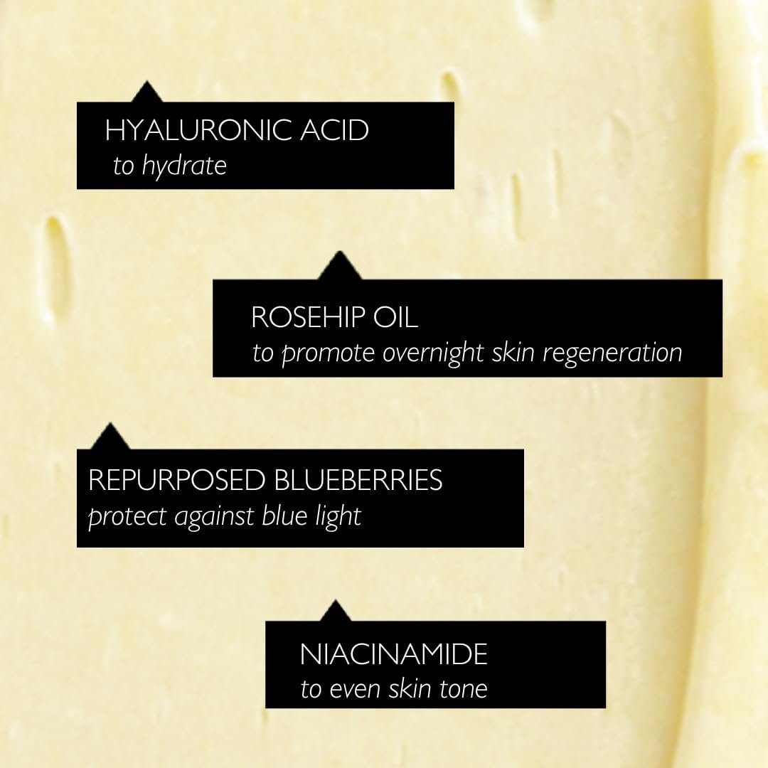 UpCircle Night Cream with Hyaluronic Acid + Niacinamide 55ml - Nourishing and Unscented for Sensitive Skin Anti-Ageing Properties - Vegan Cruelty-Free - Image 4