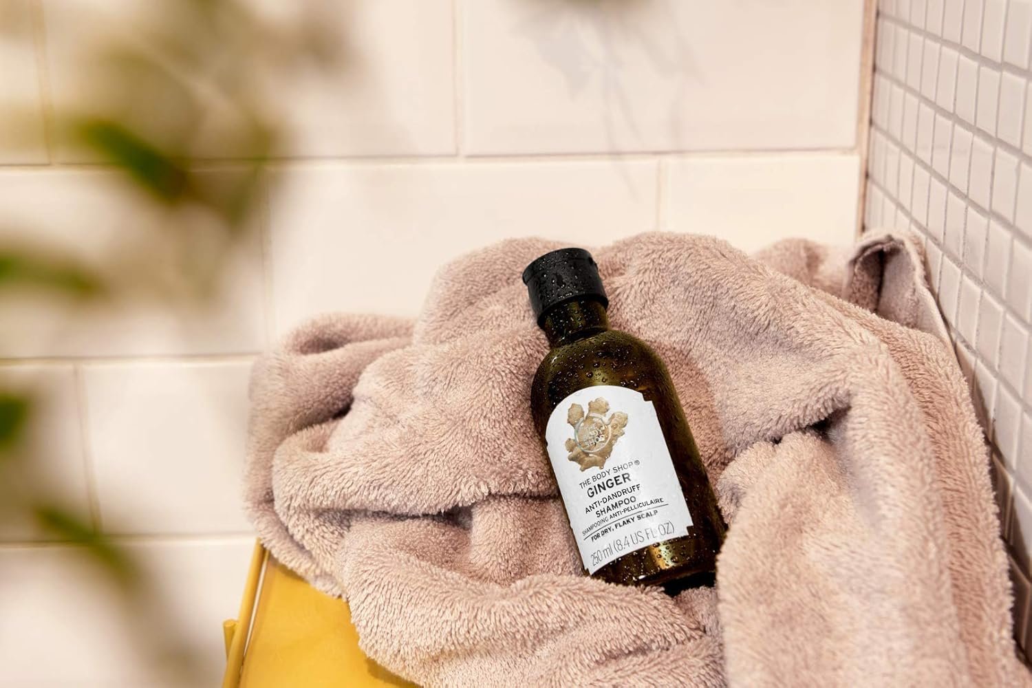 The Body Shop Body Skin Care Product Body Shop Shampoo Ginger 250ml - 250ml - Image 3