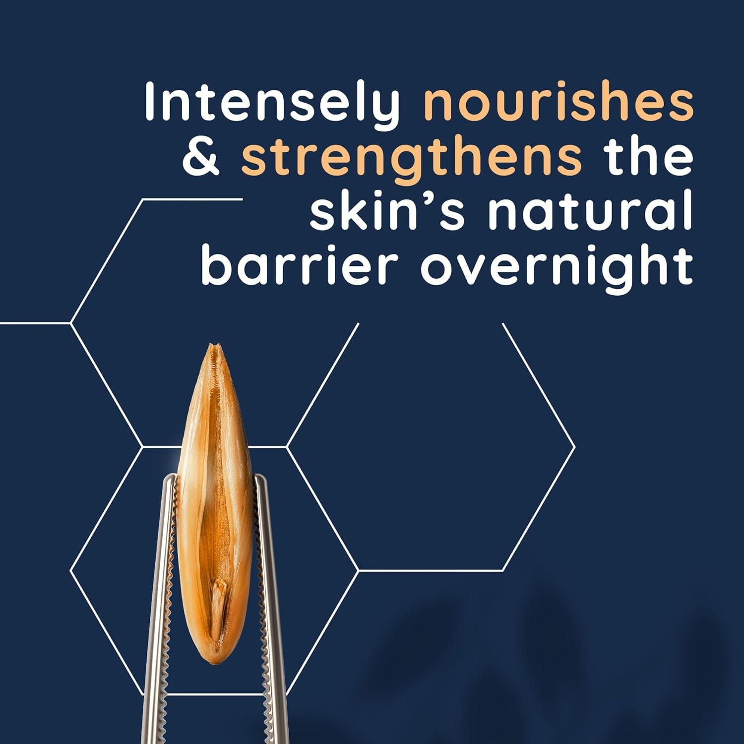 Aveeno CALM+RESTORE Re-Hydrating Night Cream (1 x 50ml), Fragrance-Free Face Care, Intensely Nourishes with Shea Butter & Prebiotic Oat, Suitable for Sensitive Skin - Image 7