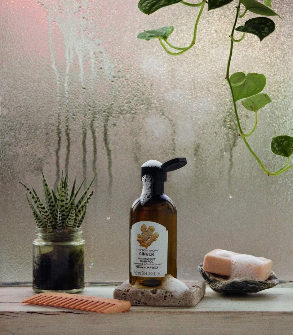 The Body Shop Body Skin Care Product Body Shop Shampoo Ginger 250ml - 250ml - Image 4
