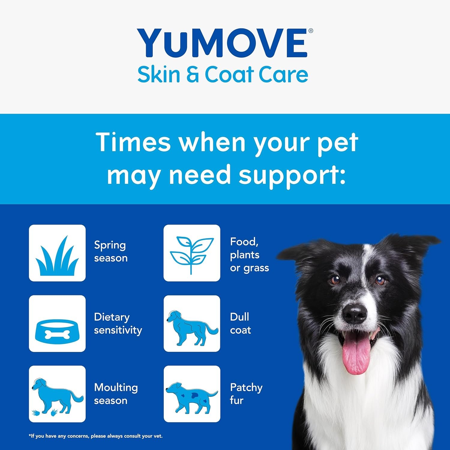 YuMOVE Skin & Coat Care Moulting Supplement for Dogs, Coat and Skin Supplement for Dogs with Skin Irritation, Dull Coats and Excess Moulting, 500ml - Image 4