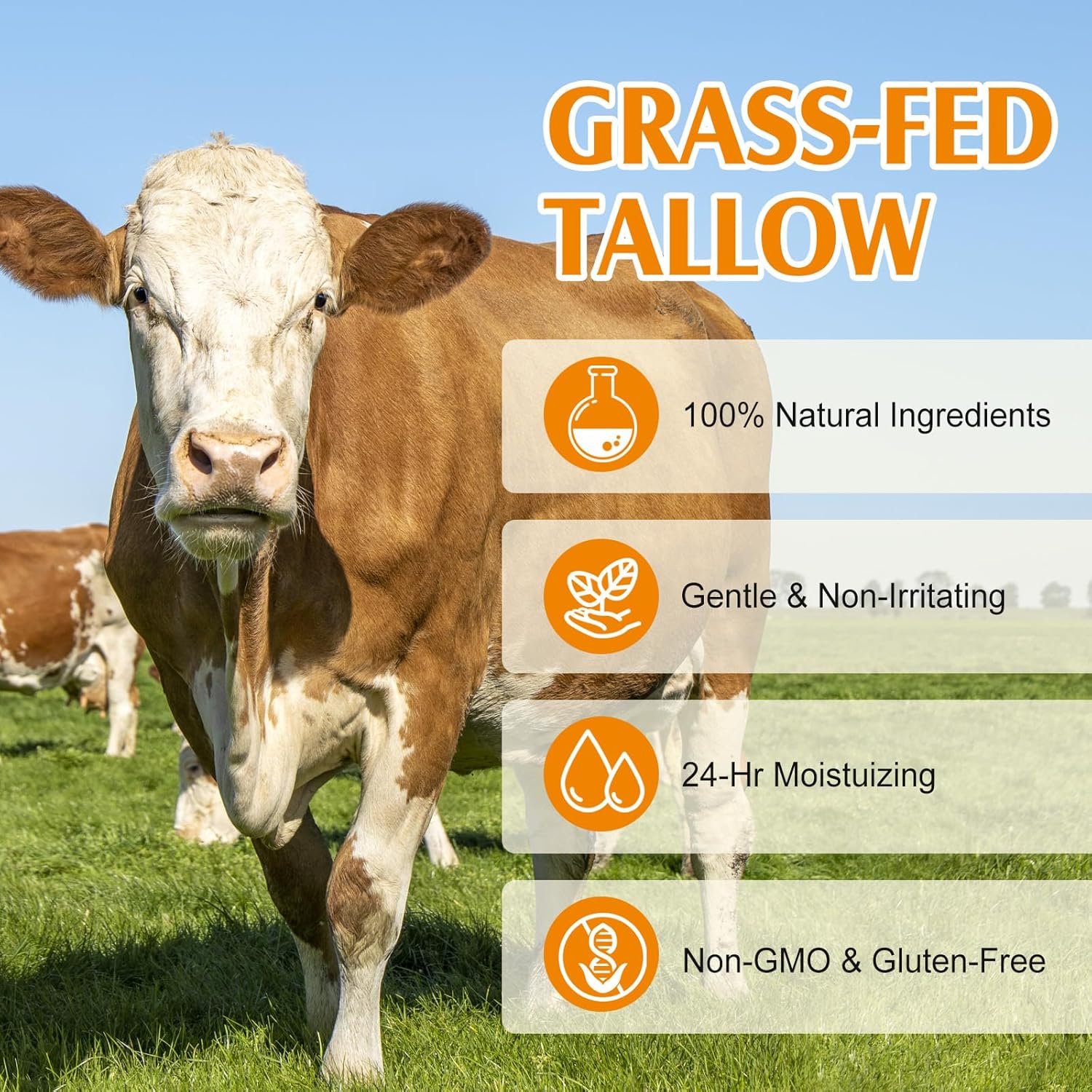 Beef Tallow Skin Care, Beef Tallow and Honey Cream 120g, Beef Tallow Moisturizer, Natural Organic Grass - Fed Whipped Beef Tallow and Honey Balm - Deeply Moisturizing for Face & Body, Softens Dry - Image 3